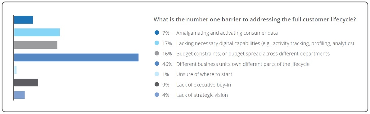 customer-experience-strategy-team