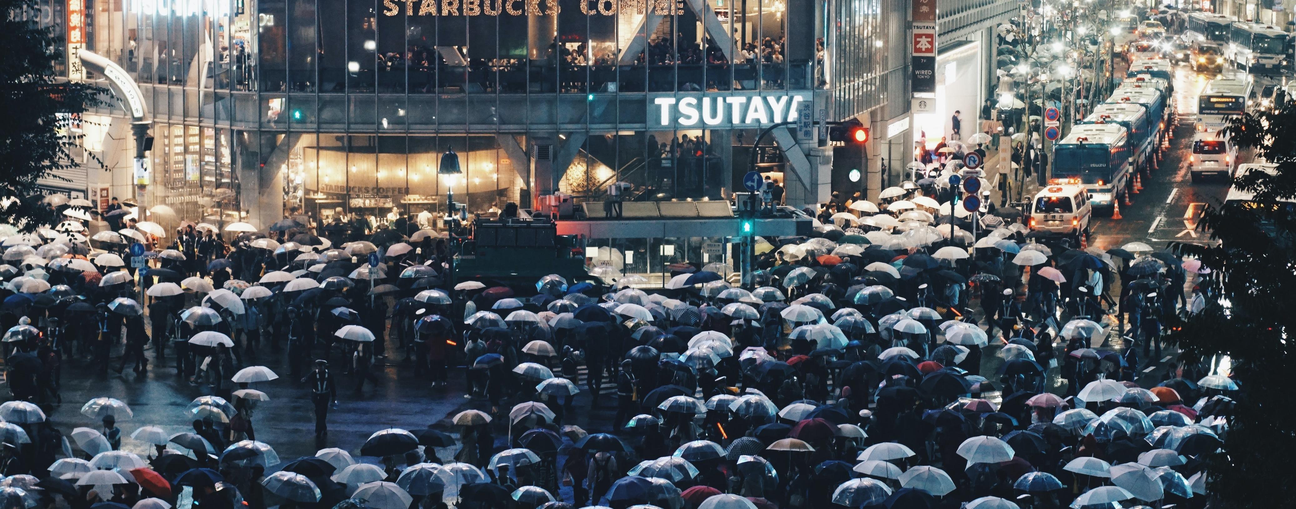 finan-akbar-6-vYiFMYcII-unsplash (1).jpg